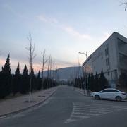 看见就啦啦啦的个人资料头像