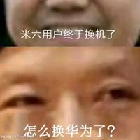 小鱼熊解说头像