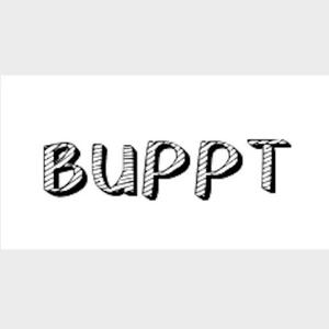 BUPPT头像