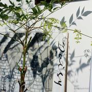 hhh244的个人资料头像