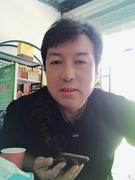 wapicn的个人资料头像
