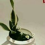 用户lts5457259528头像