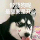 。。。。。头像