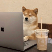 平平无奇小笨蛋的个人资料头像