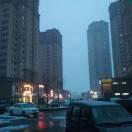 哲一的个人资料头像