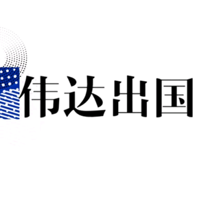伟达出国头像