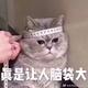 一个披萨不够吃头像