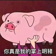 asheroly的个人资料头像