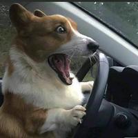 一窗昏晓、送流年╰つ头像