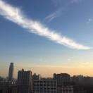 pandaJ39584的个人资料头像