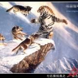 副播总监123456头像