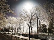 烟波江上月的个人资料头像