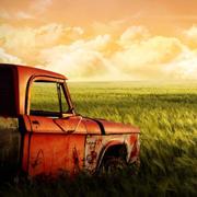 石上清泉576的个人资料头像