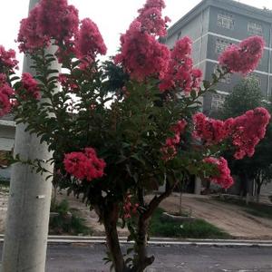 用户美好时光头像