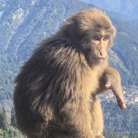 都是些什么鬼名字头像