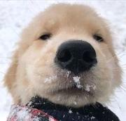 雨夜v星辰的个人资料头像