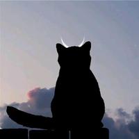 拦个男的女的折磨头像