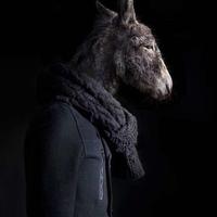 诸葛说车圈头像