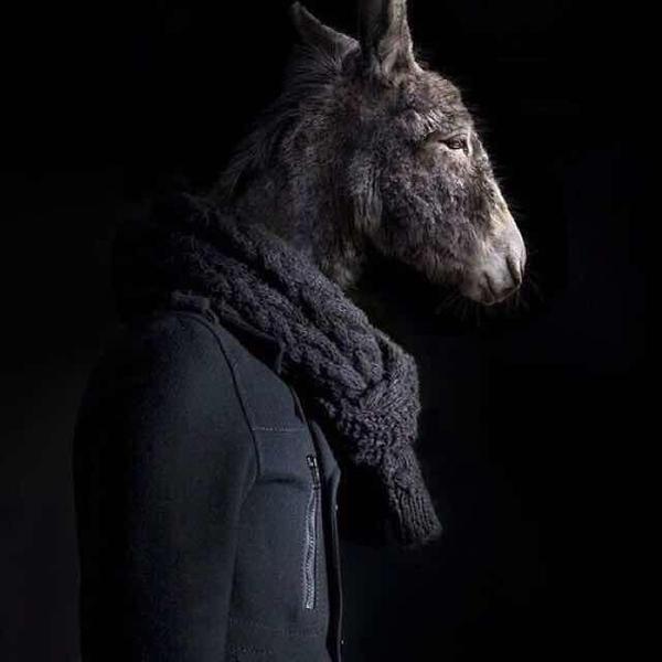 诸葛说车圈头像