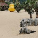 钢铁的剛头像