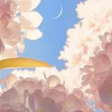 慎独12683365头像