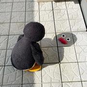 o灬O的个人资料头像