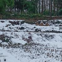 273569955688566头像