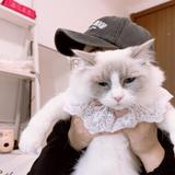 小王搞不懂头像
