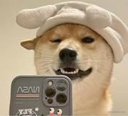 努努和威朗普的个人资料头像