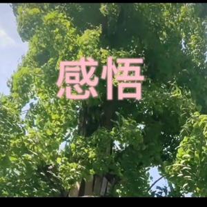 爱写字的娇娟头像