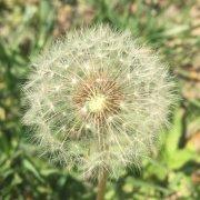 jackyxu516的个人资料头像