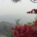 燕姐爱旅行头像