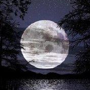 夜深人静写算法的个人资料头像