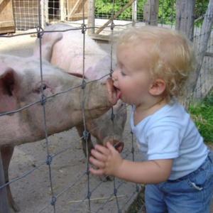 明明很爱猪头像