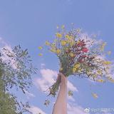 一六七头像