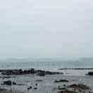 小张不想说话46059的个人资料头像