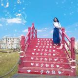 陈皮话梅糖449头像