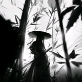阳独秀头像