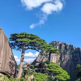 璟言305头像
