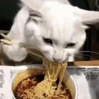 羊肉汤加饼丝er头像