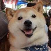 duanliang920的个人资料头像