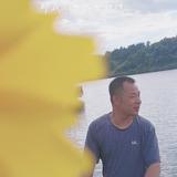 坦坦荡荡的仁爱百灵鸟头像