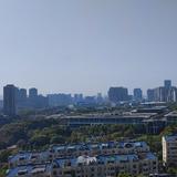 小马的秋风微凉头像