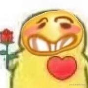 名可越的个人资料头像