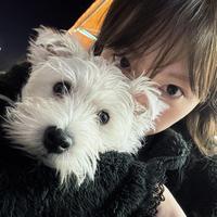 吴的吴的吴头像