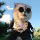 itdragons的个人资料头像