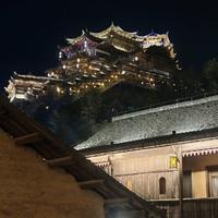 风铃挂在李子树头像