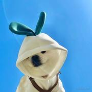 ZWulle的个人资料头像