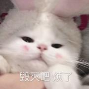 用户6510290311030的个人资料头像