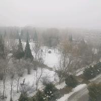 无忧的春风lir头像